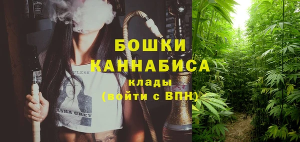 ПСИЛОЦИБИНОВЫЕ ГРИБЫ Новодвинск