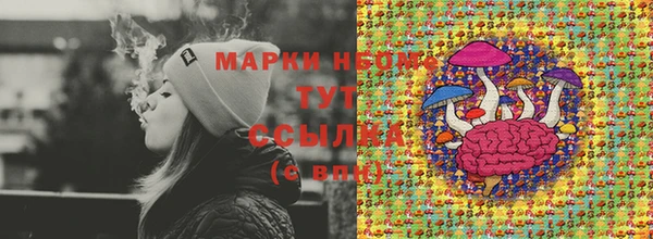 ПСИЛОЦИБИНОВЫЕ ГРИБЫ Новодвинск