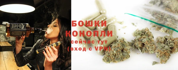 ПСИЛОЦИБИНОВЫЕ ГРИБЫ Дрезна