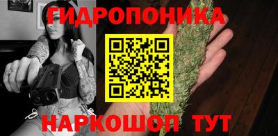 дурь Гатчина