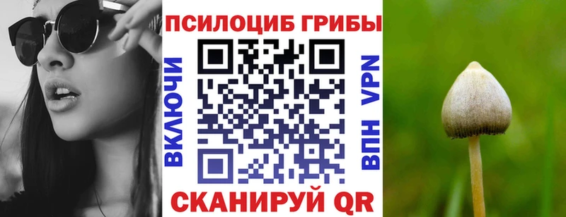 наркошоп  Нягань  Псилоцибиновые грибы ЛСД 