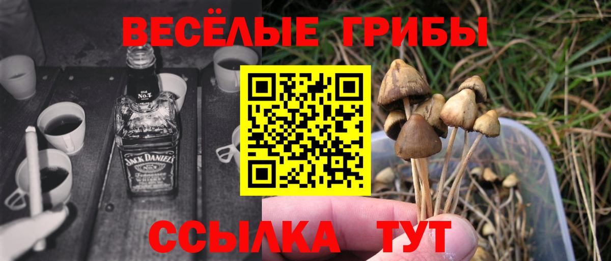 Галлюциногенные грибы мицелий  Вход с VPN  Галлюциногенные грибы ЛСД  Нягань 